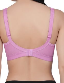 AMZ Back (5)